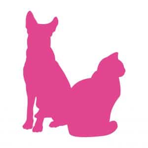 Pictos Wisium Pet