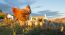 Management of breeder body weight to ensure sustainable performance