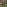 Slider-Wisium