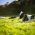 andy-kelly-5APBLfC2hUs-unsplash-300×200