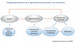 LA PORCICULTURA DE PRECISIÓN?