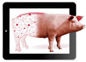 EN SOLVER SOWS VISUA