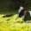 andy-kelly-5APBLfC2hUs-unsplash-scaled-312×515