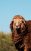 artem-labunsky-hp8Sd4wP_hk-unsplash-scaled-312×515