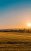 federico-respini-sYffw0LNr7s-unsplash-scaled-312×515