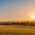 federico-respini-sYffw0LNr7s-unsplash-scaled-312×515