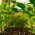 steven-weeks-DUPFowqI6oI-unsplash-scaled-312×515