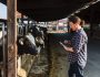 PT DAIRY EXPER