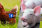 BR FB