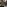 FR Piglets eating food-GettyImages-509757845 (2)