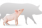 VI piglet wean up